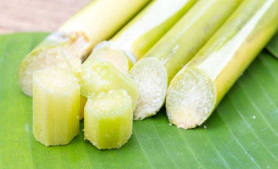 冬季養(yǎng)生吃甘蔗，這樣吃效果翻倍