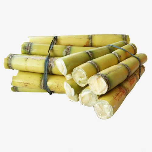 暢享高清免摳甘蔗素材 平面設(shè)計(jì)與電商創(chuàng)意的極佳之選